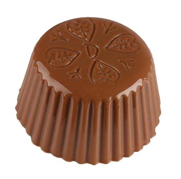Mold 15