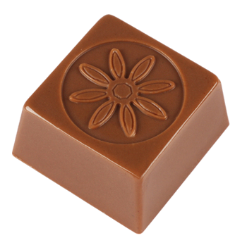 Mold 16