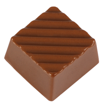 Mold 5