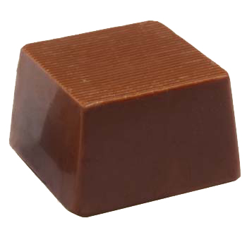 Mold 50